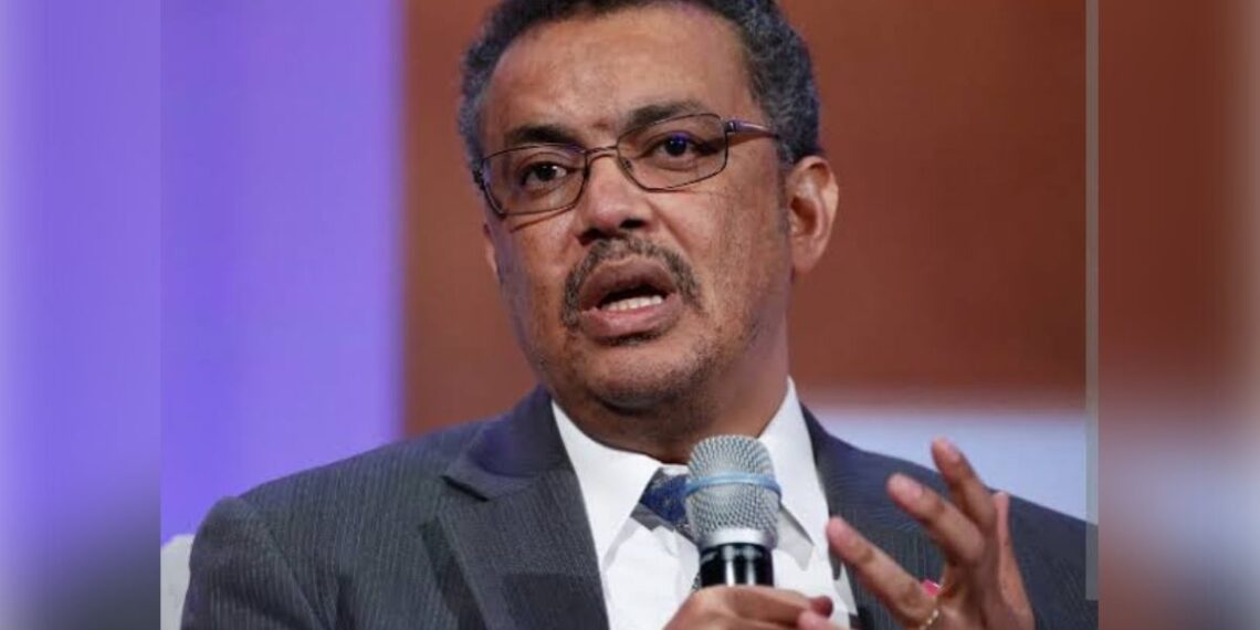 WHO Director-General Condemns Xenophobia in South Africa, Calls for Protection of Migrants