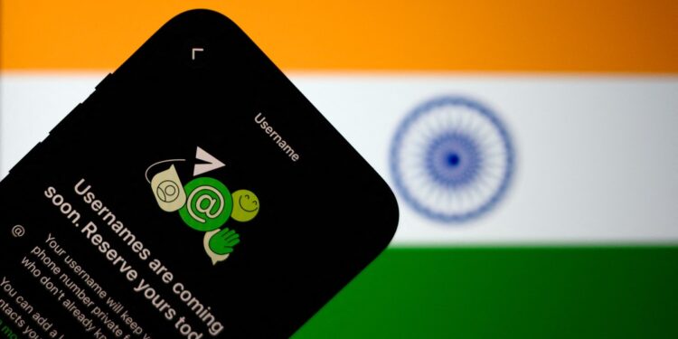 India Asks Meta to Delay WhatsApp Username Feature Rollout