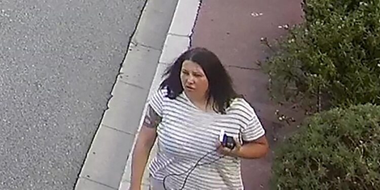 Interpol Hunts Ukrainian Woman Over Monaco Bomb Attack