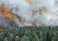 Planes Battle Fontainebleau Forest Fire Near Paris Amid Heatwave