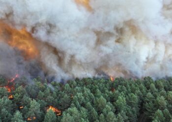 Planes Battle Fontainebleau Forest Fire Near Paris Amid Heatwave