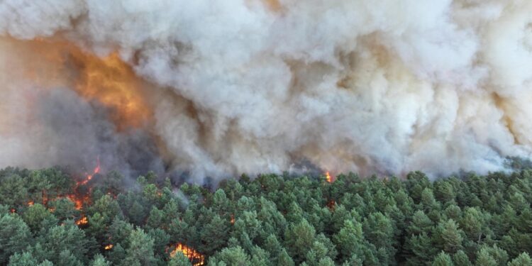 Planes Battle Fontainebleau Forest Fire Near Paris Amid Heatwave