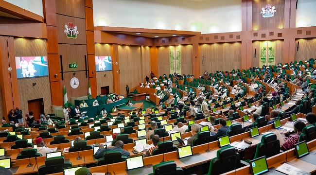 Reps Adopt Tinubu’s State Police Bill for Police Reform