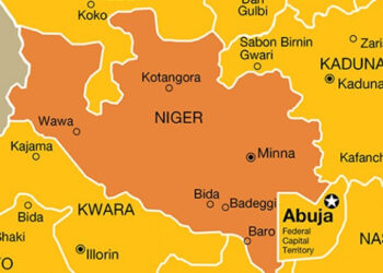 Niger Probes Suspected Disease, Urges Child Immunisation
