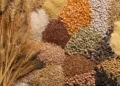 FG Targets 25 Million Tonnes Annual Grain Production