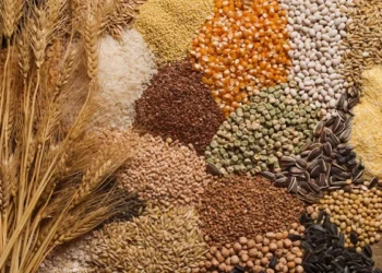 FG Targets 25 Million Tonnes Annual Grain Production