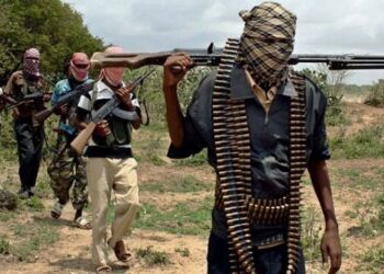 ISWAP Terrorists Surrender as Military Rescues Abductees