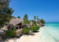 Zanzibar Travel Guide 2026: Beaches, Culture, Food and Adventure