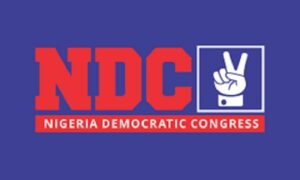 2027: NDC Plans 13-Man Structure In Every Polling Unit – Umeh
