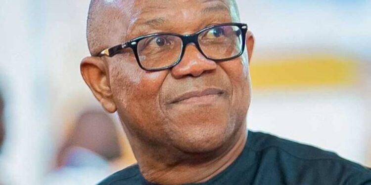 Peter Obi Asks UNN To Release His Academic Records