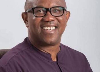LP Chieftain Sues WAEC, UNN, NYSC Over Obi’s Academic Credentials