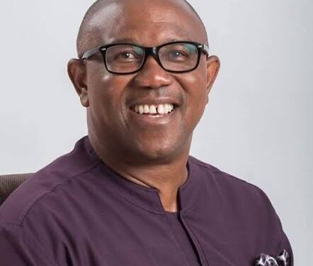 LP Chieftain Sues WAEC, UNN, NYSC Over Obi’s Academic Credentials