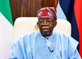 Tinubu Backed Creation of African Credit Rating Agency, Aide Says