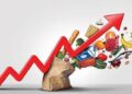 Nigeria Food Burden