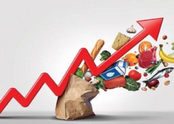 Nigeria Food Burden